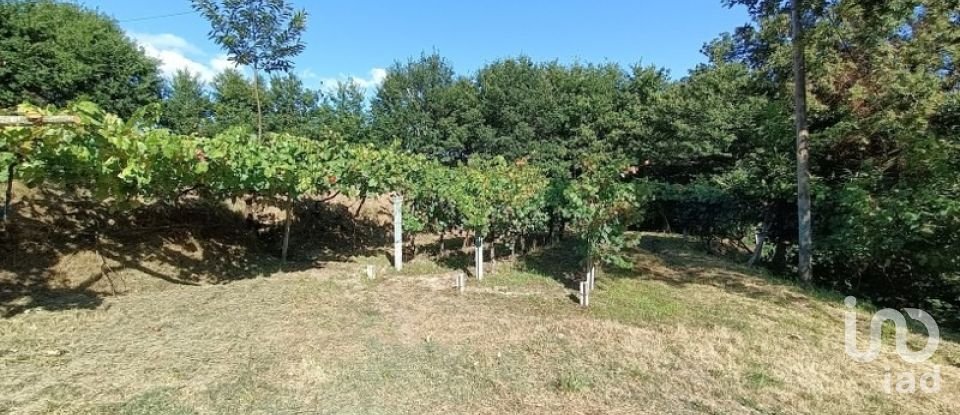 Terreno rústico em Sabadim de 6 500 m²