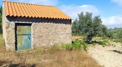 Terrain à Carrapichana de 14 686 m²