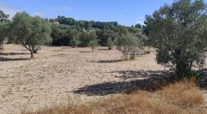 Terrain à Carrapichana de 14 686 m²