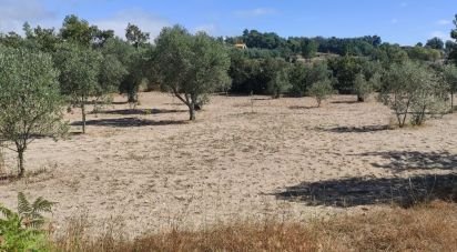 Terrain à Carrapichana de 14 686 m²