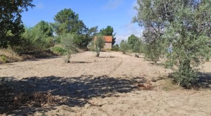 Terrain à Carrapichana de 14 686 m²
