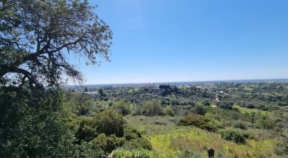 Land in Loulé (São Sebastião) of 26,950 m²