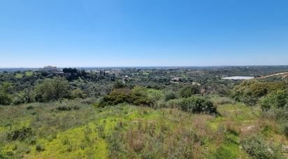 Land in Loulé (São Sebastião) of 26,950 m²