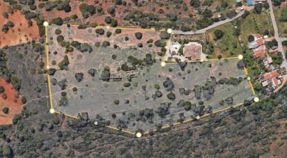 Land in Loulé (São Sebastião) of 26,950 m²