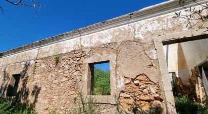 Land in Loulé (São Sebastião) of 26,950 m²