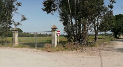 Terrain à bâtir à Poceirão e Marateca de 100 000 m²