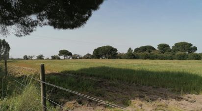 Terrain à bâtir à Poceirão e Marateca de 100 000 m²