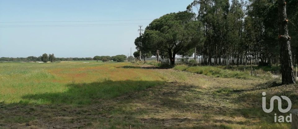 Terrain à bâtir à Poceirão e Marateca de 100 000 m²