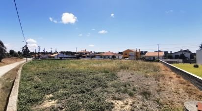Terrain à Ovar, São João, Arada e São Vicente de Pereira Jusã de 1 383 m²