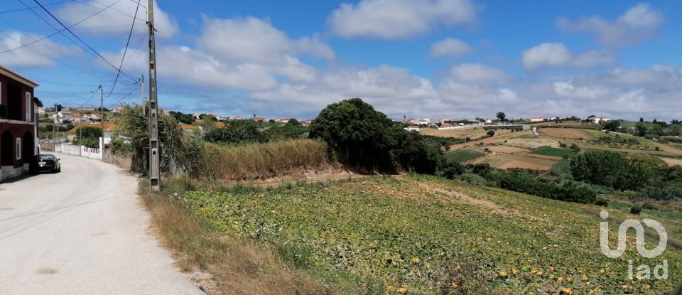 Land in Lourinhã e Atalaia of 5,975 m²