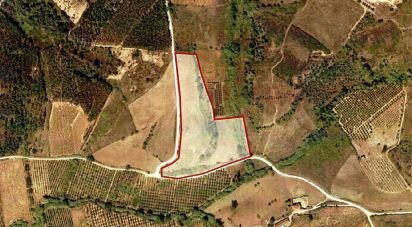 Building land in Lamas e Cercal of 20,880 m²