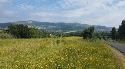 Terrain à bâtir à Lamas e Cercal de 20 880 m²