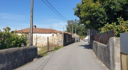 Terrain à São João de Ver de 1 700 m²