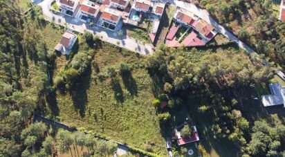 Building land in Forjães of 6,000 m²
