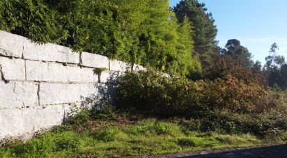 Terrain à bâtir à Forjães de 6 000 m²