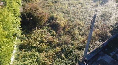 Terrain à bâtir à Forjães de 6 000 m²