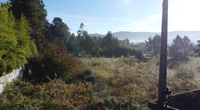 Terrain à bâtir à Forjães de 6 000 m²