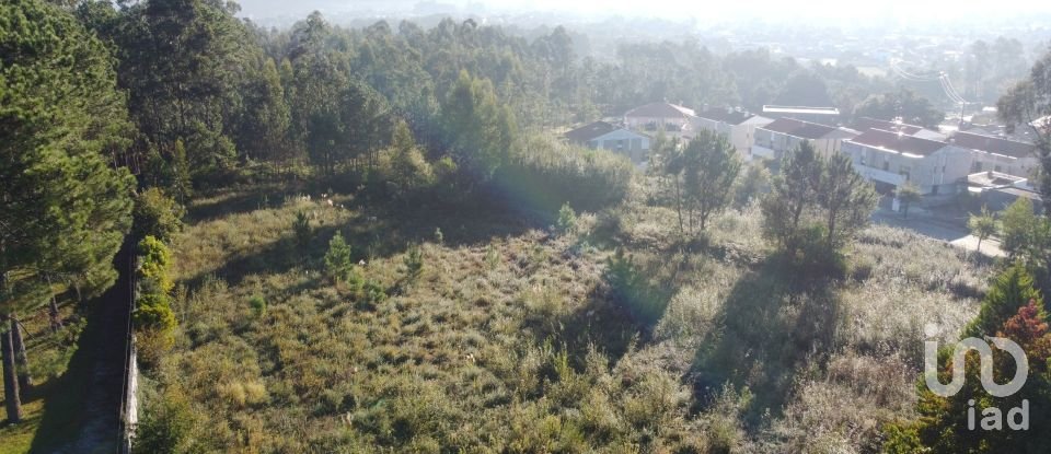 Building land in Forjães of 6,000 m²
