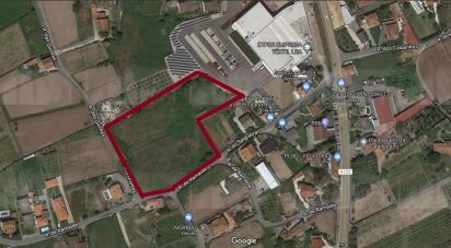 Building land in Forjães of 9,781 m²