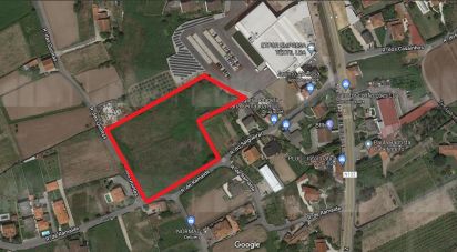 Building land in Forjães of 9,781 m²