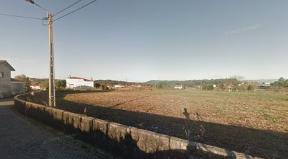 Terrain à bâtir à Forjães de 9 781 m²