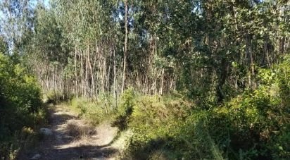 Terrain agricole à São Bartolomeu dos Galegos e Moledo de 6 200 m²