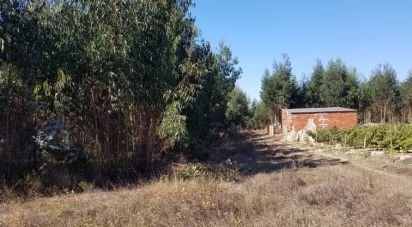 Terrain agricole à São Bartolomeu dos Galegos e Moledo de 6 200 m²