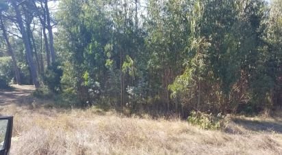 Terrain agricole à São Bartolomeu dos Galegos e Moledo de 6 200 m²