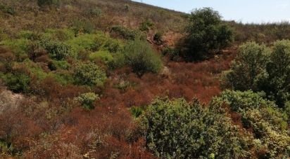 Terrain à Odiáxere de 175 000 m²