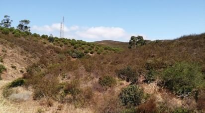 Terrain à Odiáxere de 175 000 m²