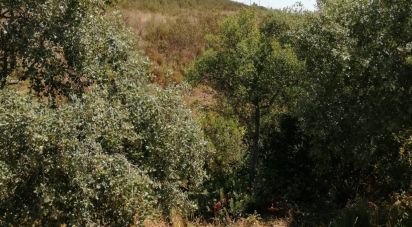 Terrain à Odiáxere de 175 000 m²