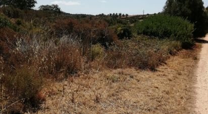 Terrain à Odiáxere de 175 000 m²