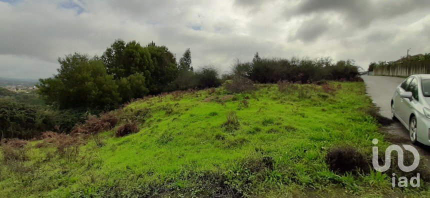 Terrain à Vila de Cucujães de 5 520 m²