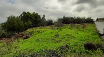 Terrain à Vila de Cucujães de 5 520 m²