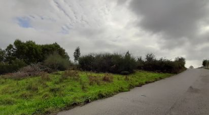 Terrain à Vila de Cucujães de 5 520 m²