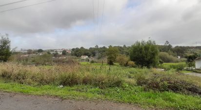 Terrain à Vila de Cucujães de 5 520 m²