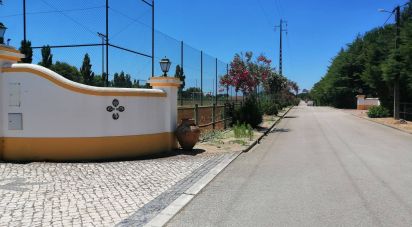 Land in Santo Estêvão of 10,000 m²