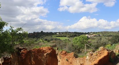 Land in Mexilhoeira Grande of 77,480 m²