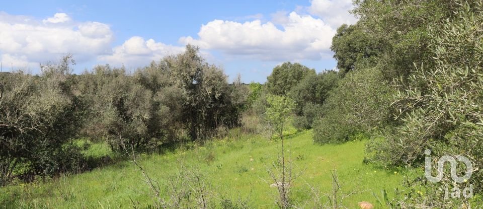 Land in Mexilhoeira Grande of 77,480 m²