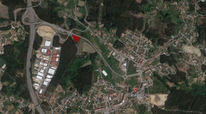 Surface diverse à Canedo, Vale e Vila Maior de 2 800 m²