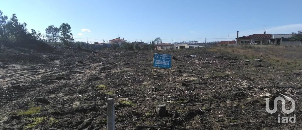 Terreno para construção em Guia, Ilha e Mata Mourisca de 1 300 m²