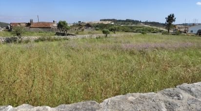Land in Arrimal e Mendiga of 1,770 m²