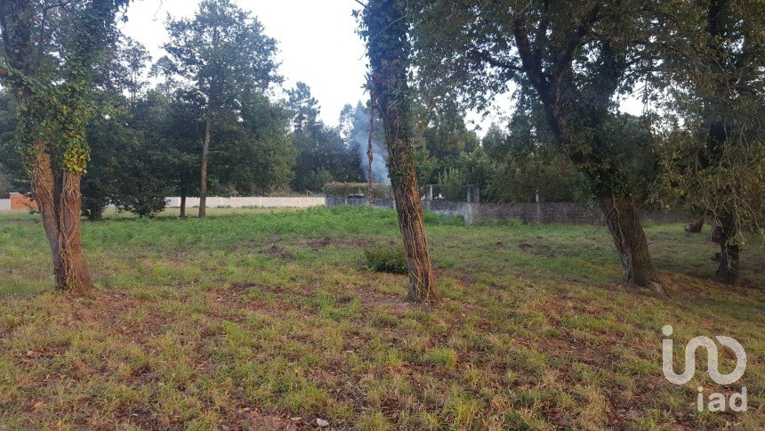 Terrain à bâtir à Grijó e Sermonde de 3 380 m²