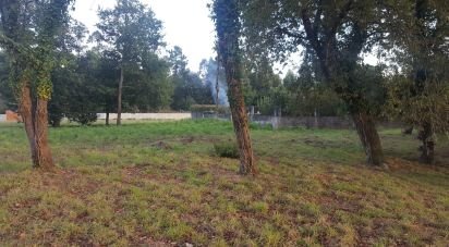 Terrain à bâtir à Grijó e Sermonde de 3 380 m²