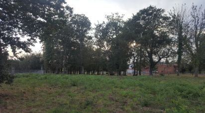 Terrain à bâtir à Grijó e Sermonde de 3 380 m²