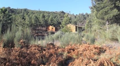 Terrain à bâtir à Verdelhos de 2 910 m²