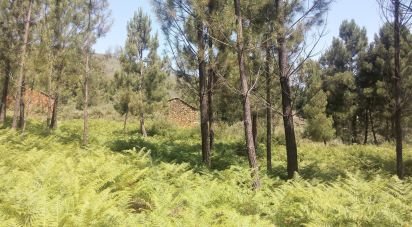 Terrain à bâtir à Verdelhos de 2 910 m²