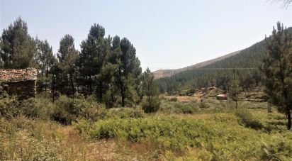 Terrain à bâtir à Verdelhos de 2 910 m²