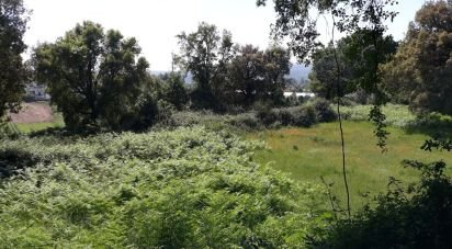 Terrain agricole à São Pedro Fins de 4 310 m²