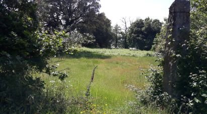 Terrain agricole à São Pedro Fins de 4 310 m²